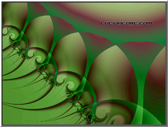 Hermits - 2001
Hermit Crabs?
Tierazon.