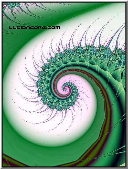 Ripkurl - 2001.
Tierazon.