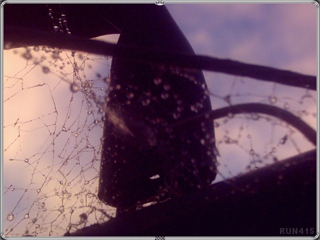= Droplets =
Just liked the rain droplets in this
spider web on the clothes line.