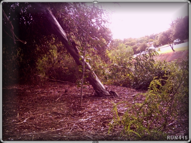 = Angles =
Accidental trick shot on an embankment.