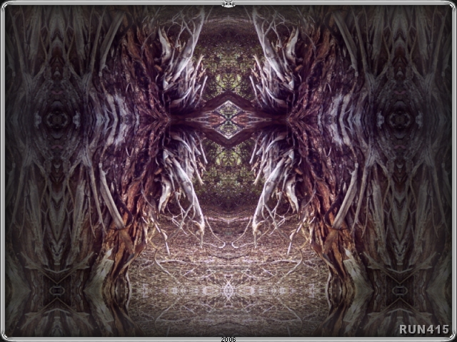 = Ancient Gate =
Part I of the tiled tree bark trilogy.