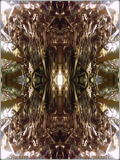 = Altar =
Part II of the tiled tree bark trilogy.