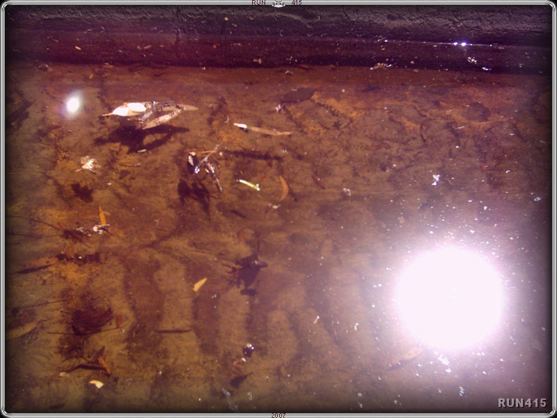 = Lovely Brown Drain =