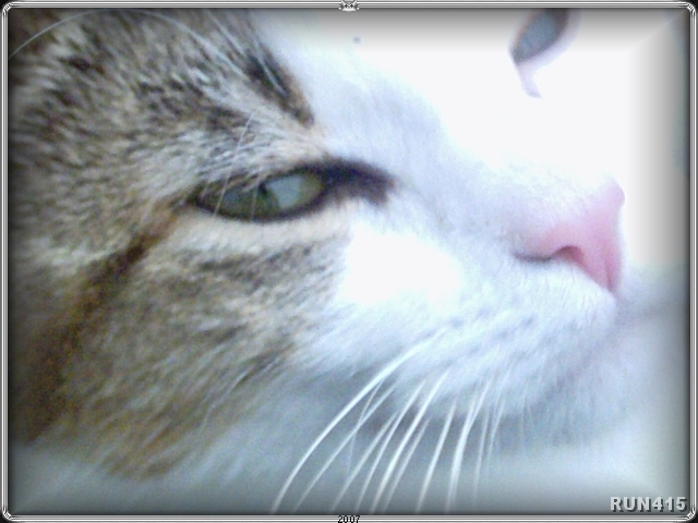 = Charlie =
Looking a bit cheeky here :)