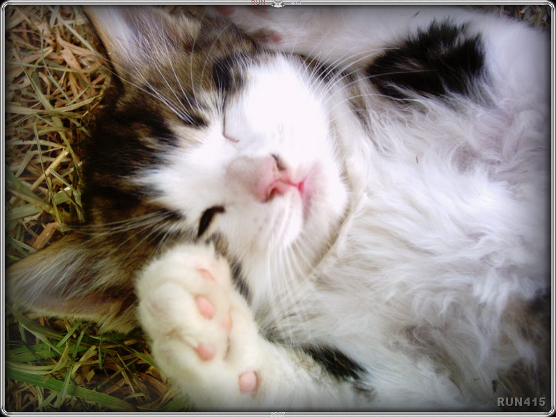 = 015 =
Gogsy
Dec 2006