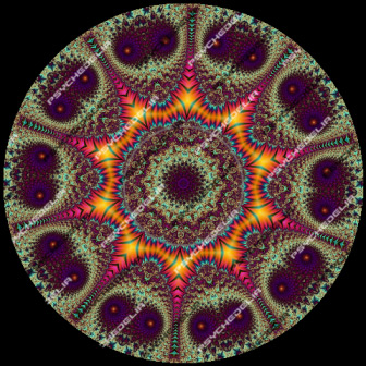 ID No. = 037 - 10 Possums?